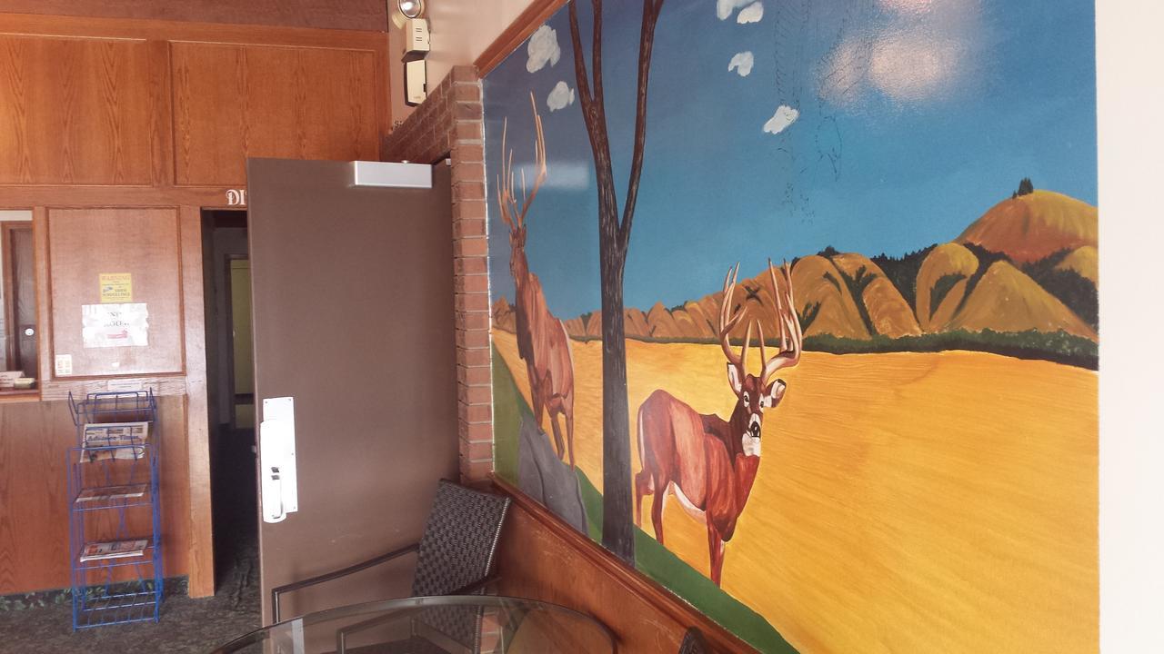 Maple Creek Motor Inn מראה חיצוני תמונה